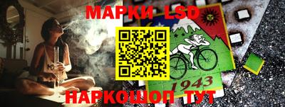 стафф Донской