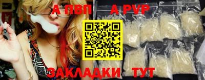 стафф Донской