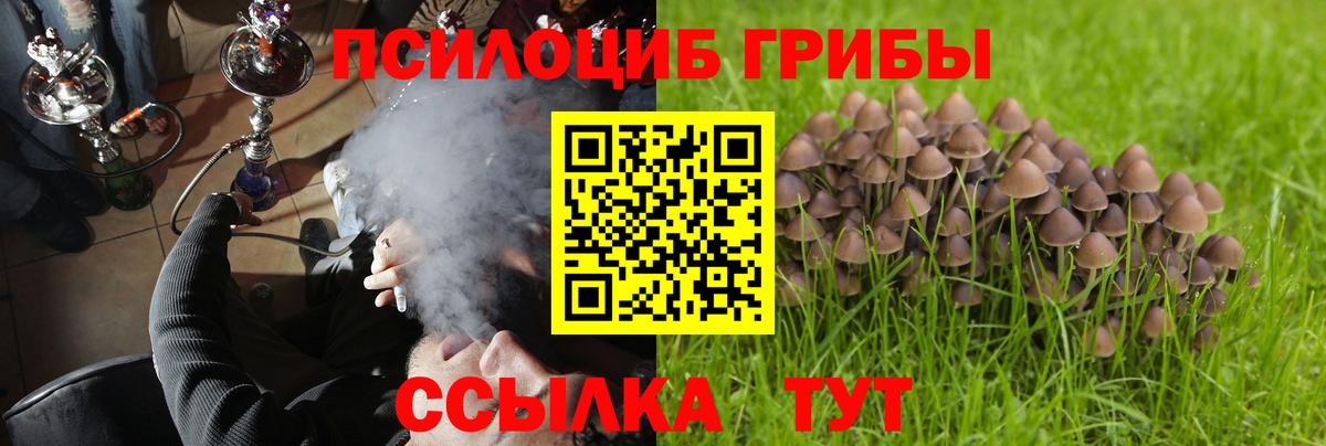 Москва  Псилоцибиновые грибы прущие грибы  Вход с VPN  Галлюциногенные грибы мицелий 