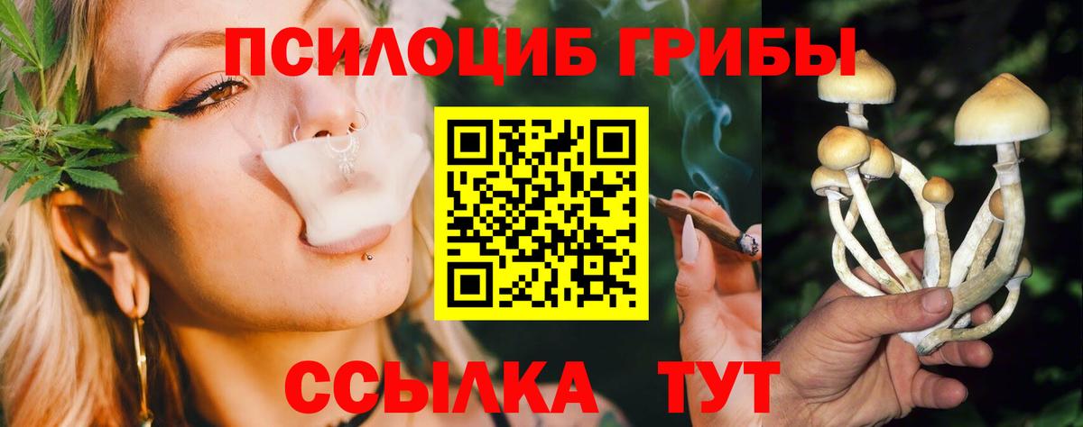 Псилоцибиновые грибы Psilocybe Москва